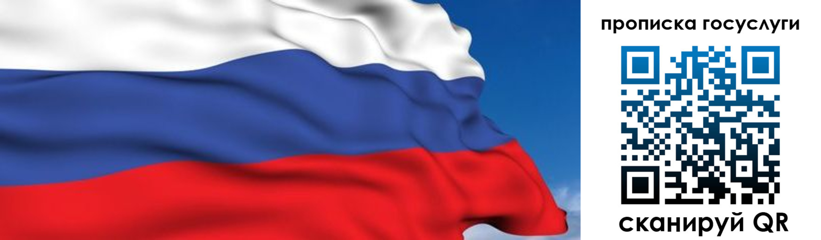 временная регистрация законно в Светлогорске